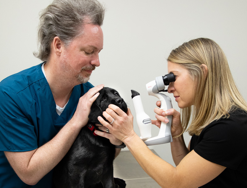 staff-4 Our vets doing Pet Caer exam.